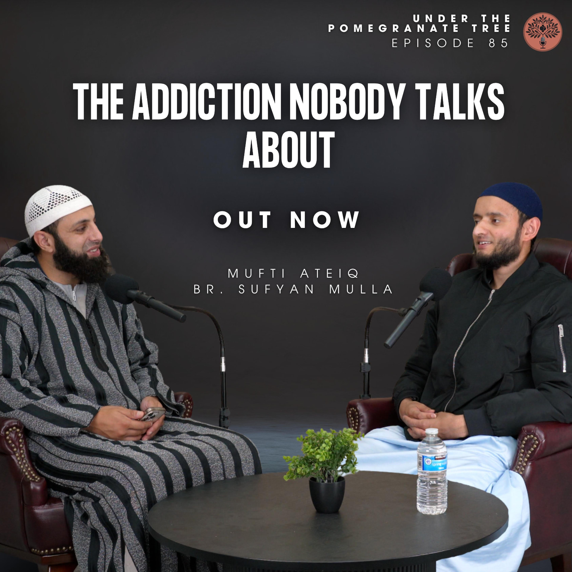 Sufyan Mulla on Under the Pomegranate Tree podcast with Mufti Ateiq
